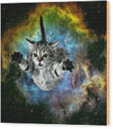 Galaxy Cat Universe Kitten Launch Wood Print