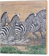 Galloping Zebras Wood Print