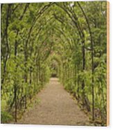 Garden Archway Wood Print