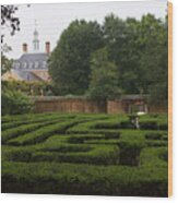 Garden Maze At Governors Palace Wood Print