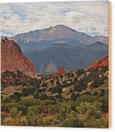 Garden Of The Gods Wood Print