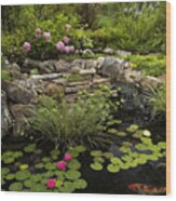 Garden Pond - D001133 Wood Print