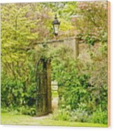 Garden Wall With Iron Gate And Lantern. Wood Print