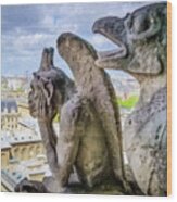 Gargoyles Of Notre Dame- Painted Wood Print