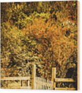 Gates In Fall Wood Print