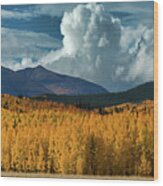 Gathering Storm - Park County Co Wood Print