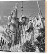 Gaudi's Gothic Roman Catholic Church Black Wood Print