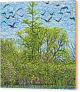 Geese Glide Over Still Pond Wood Print