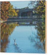 Geese On Concho River Wood Print