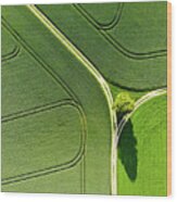 Geometric Landscape 05 Tree And Green Fields Aerial View Wood Print