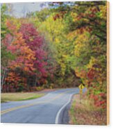 Georgia Scenic Byway Wood Print