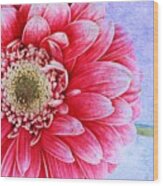 Gerbera Texture Wood Print