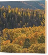 Geyser Pass Road, La Sal Mountains Wood Print
