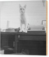 Ghost Cat, With Typewriter Wood Print