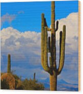 Giant Saguaro In The Southwest Desert Wood Print