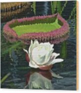Giant Water Lily Blossom Wood Print