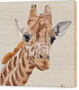 Giraffe Portrait Wood Print
