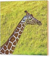 Giraffe Wood Print