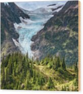 Glacier And Alpine Meadow Wood Print