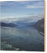 Glacier Bay 7 Wood Print