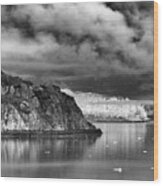 Glacier Bay Alaska In Bw Wood Print