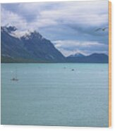 Glacier Bay Alaska Two Wood Print