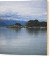 Glacier Bay Alaska Wood Print