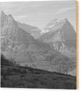 Glacier National Park Fireweed Slope Black And White Wood Print