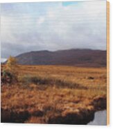 Wide Open Space Donegal Ireland Wood Print