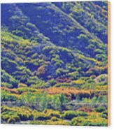 Glenwood Springs Fall Colors On Display Wood Print