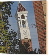 Glimpse Of The Bell Tower Wood Print