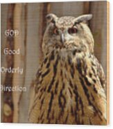 God Equals Owl Wood Print