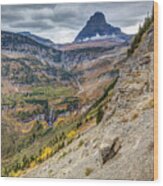 Going To The Sun Road In Glacier National Park Wood Print