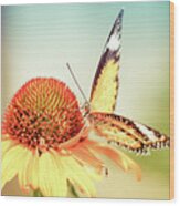 Golden Butterfly Wood Print