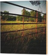 Golden Country Fence Wood Print