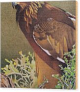 Golden Eagle Wood Print