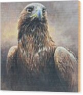 Golden Eagle Portrait Wood Print