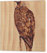 Golden Eagle Wood Print