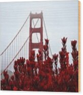 Golden Gate Bridge Red Flowers Wood Print