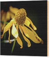 Golden Glow Wildflower - 2 Wood Print