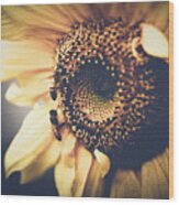 Golden Honey Bees And Sunflower Wood Print
