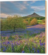 Golden Hour At Roseberry Topping Wood Print