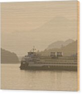 Golden Hour Ferry Ride Wood Print