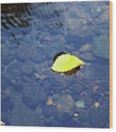Golden Leaf On The Water Wood Print