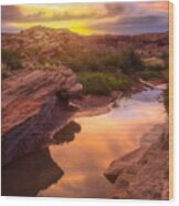 Golden Light In Moab Wood Print