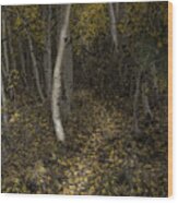 Golden Path Wood Print