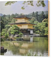 Golden Pavilion Wood Print