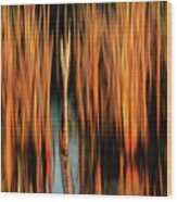 Golden Reeds Wood Print