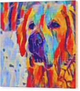 Golden Retriever Wood Print