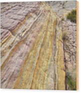 Golden Stripes In Valley Of Fire Wood Print